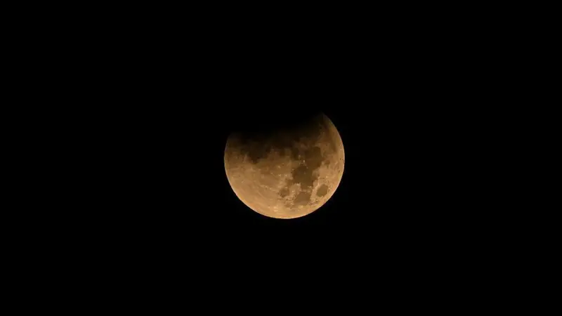 6b31f690-1713-11f1-a977-831dd3cb5c6e.jpg.webp