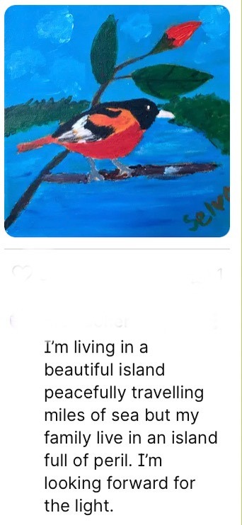 P_-_104.jpeg