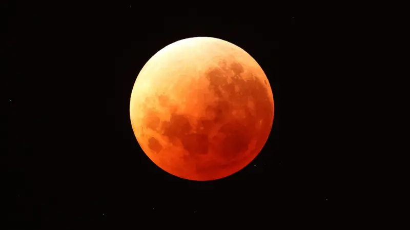 a5c30e30-1712-11f1-a977-831dd3cb5c6e.jpg.webp