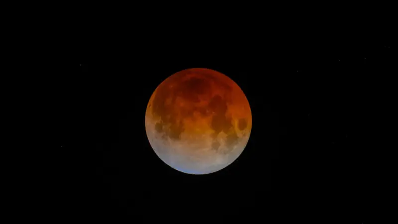 e64cf790-1712-11f1-a977-831dd3cb5c6e.jpg.webp