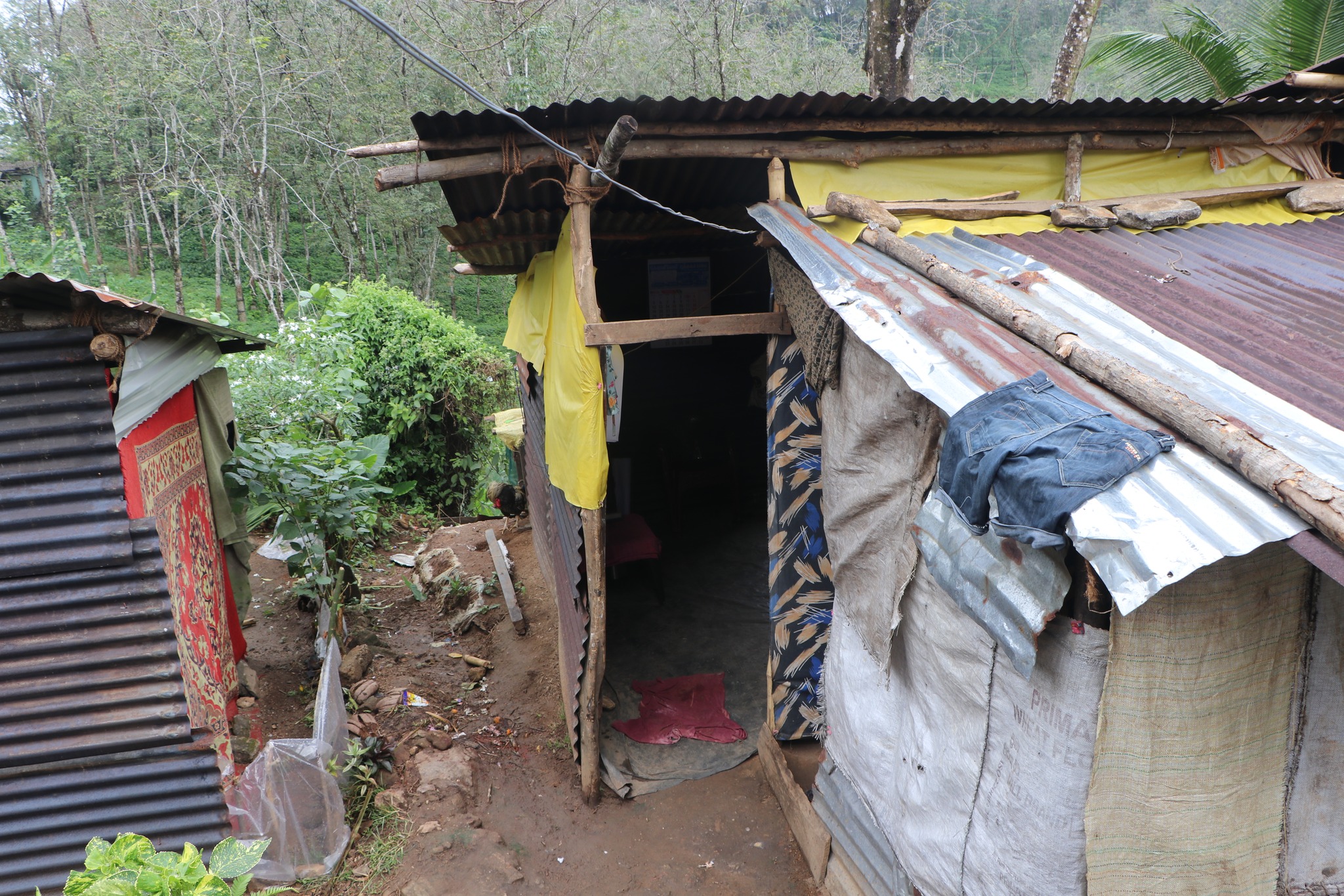 l07.jpg